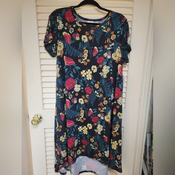 Lularoe Carly - Picture 1 of 4